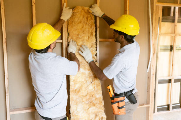 Best Insulation Removal  in Elizabethville, PA
