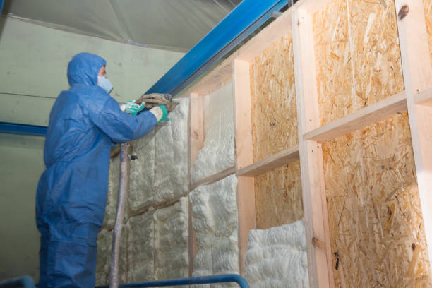 Best Cellulose Insulation  in Elizabethville, PA