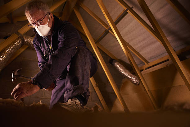 Best Professional Insulation Contractor  in Elizabethville, PA